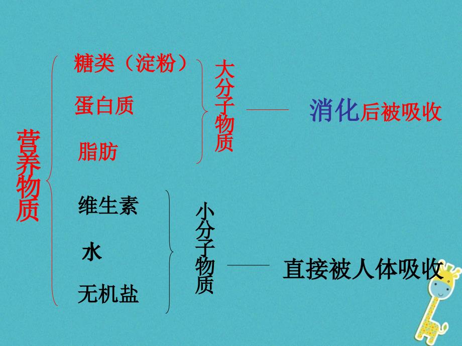 吉林长春市初一生物下册 4.2.2消化和吸收1 新人教版_第2页