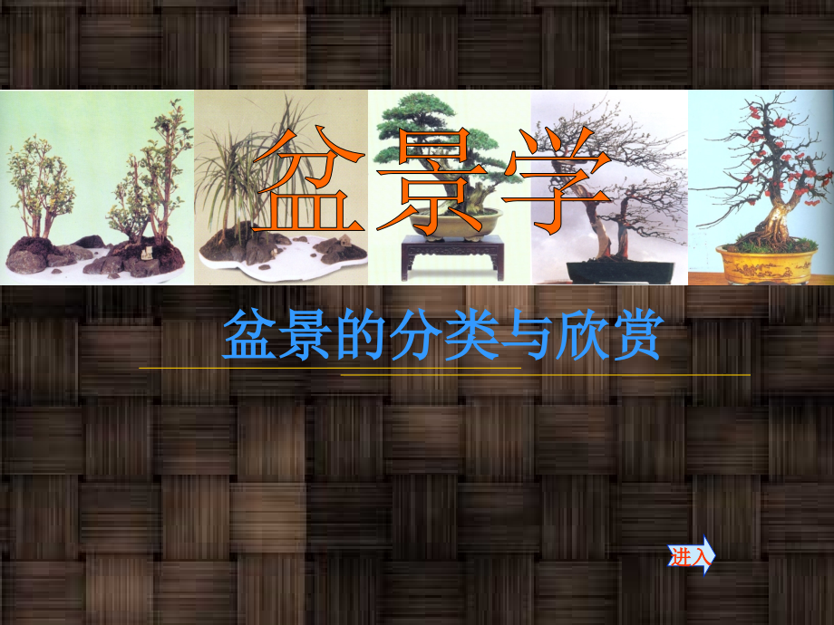 盆景的分类与欣赏.ppt_第1页