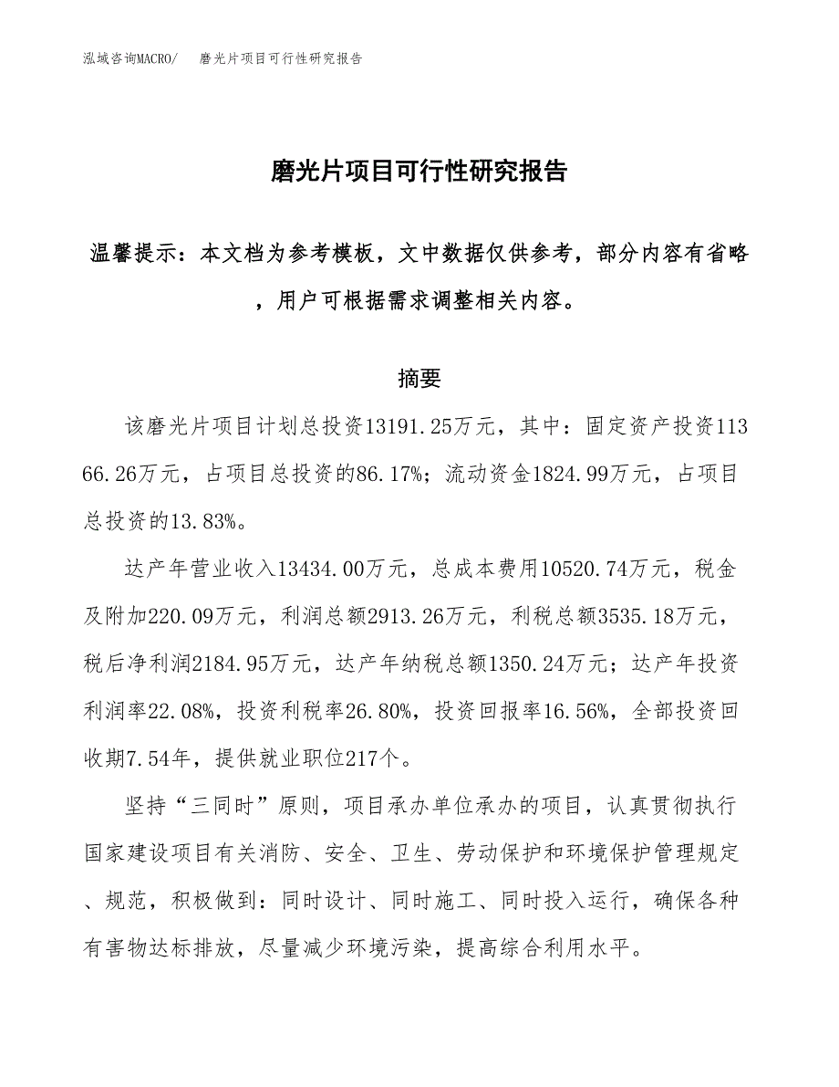 2019磨光片项目可行性研究报告参考大纲.docx_第1页