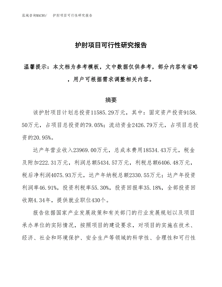 2019护肘项目可行性研究报告参考大纲.docx_第1页