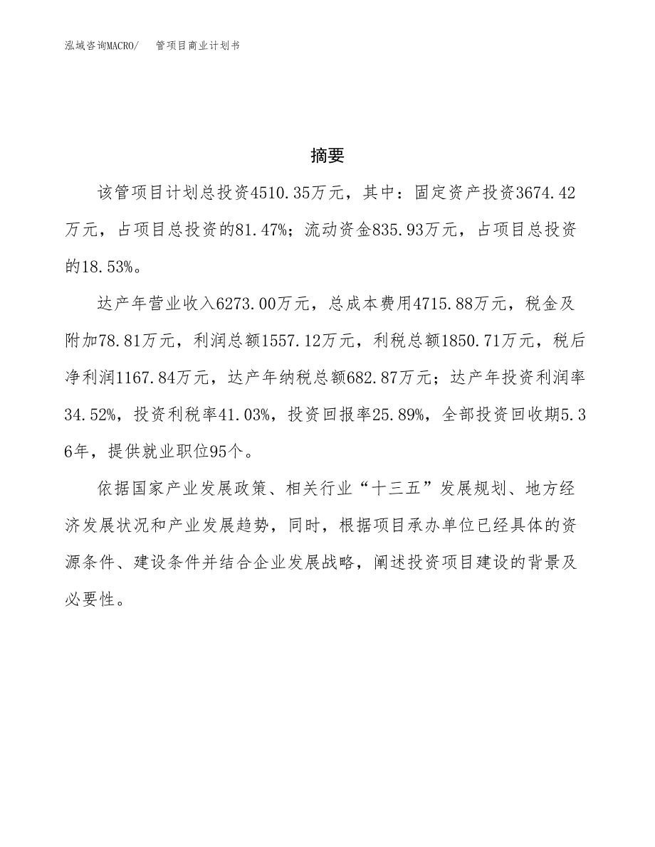 管项目商业计划书参考模板.docx_第3页