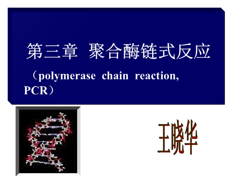 聚合酶链式反应-2014.ppt_第1页