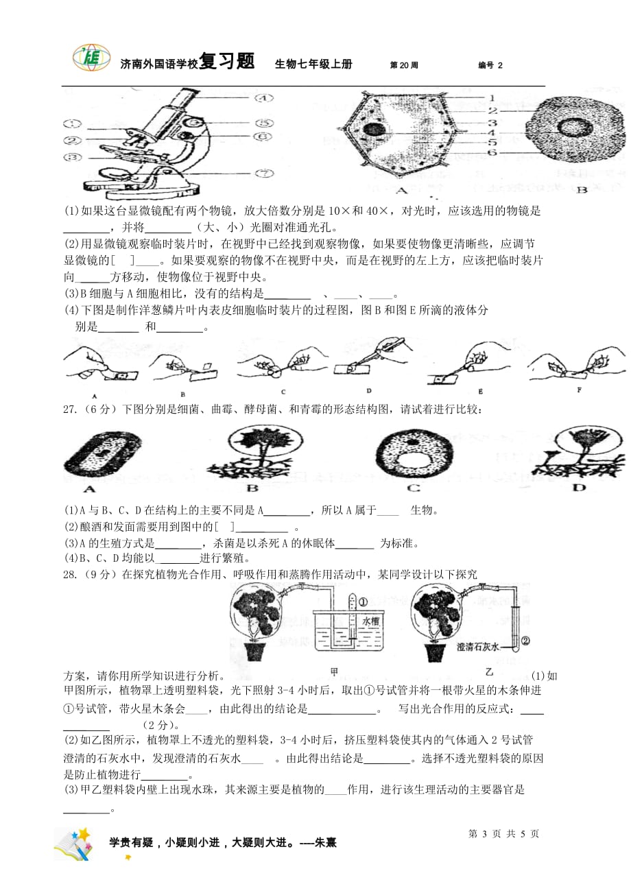 七年级上册生物试题(附答案)_第3页