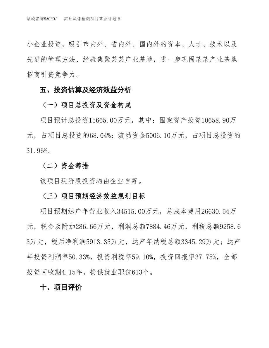 实时成像检测项目商业计划书参考模板.docx_第5页