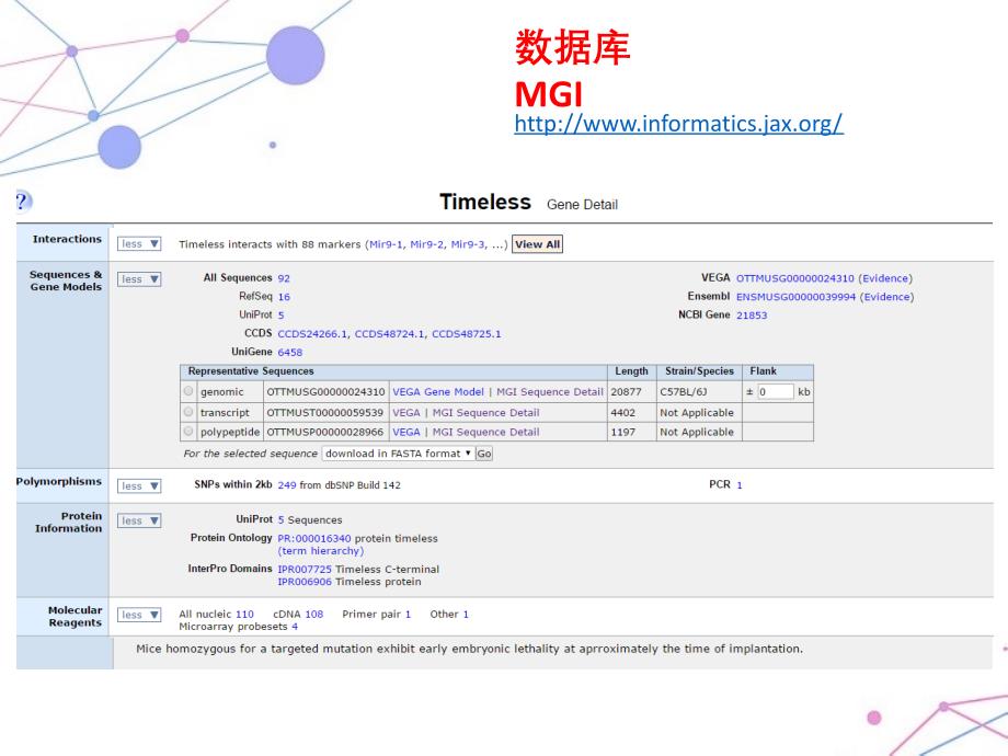 生物信息学分析方法.ppt_第4页