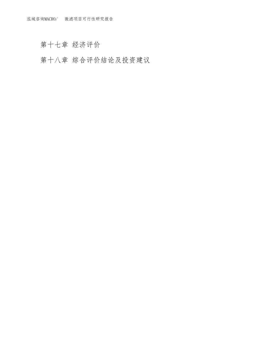 2019微滤项目可行性研究报告参考大纲.docx_第5页