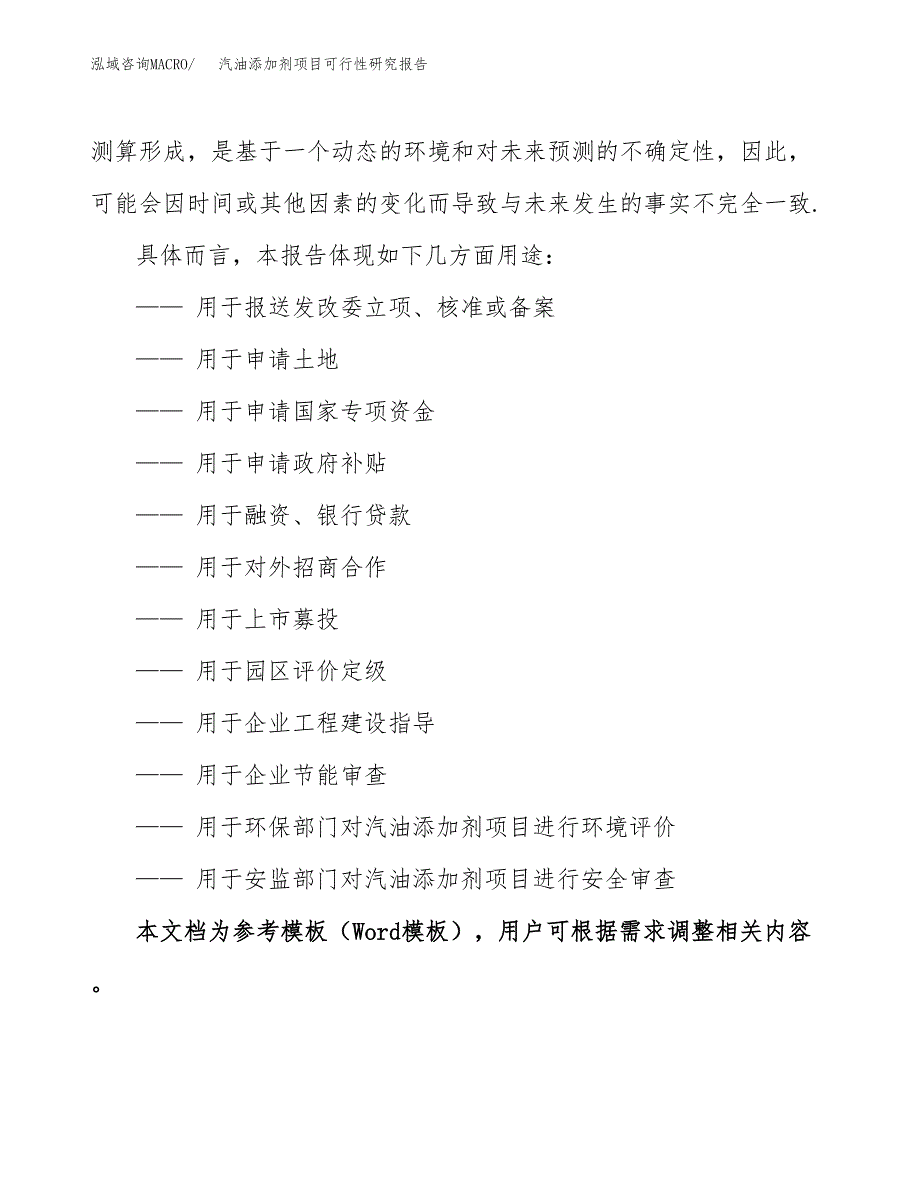 2019汽油添加剂项目可行性研究报告参考大纲.docx_第2页