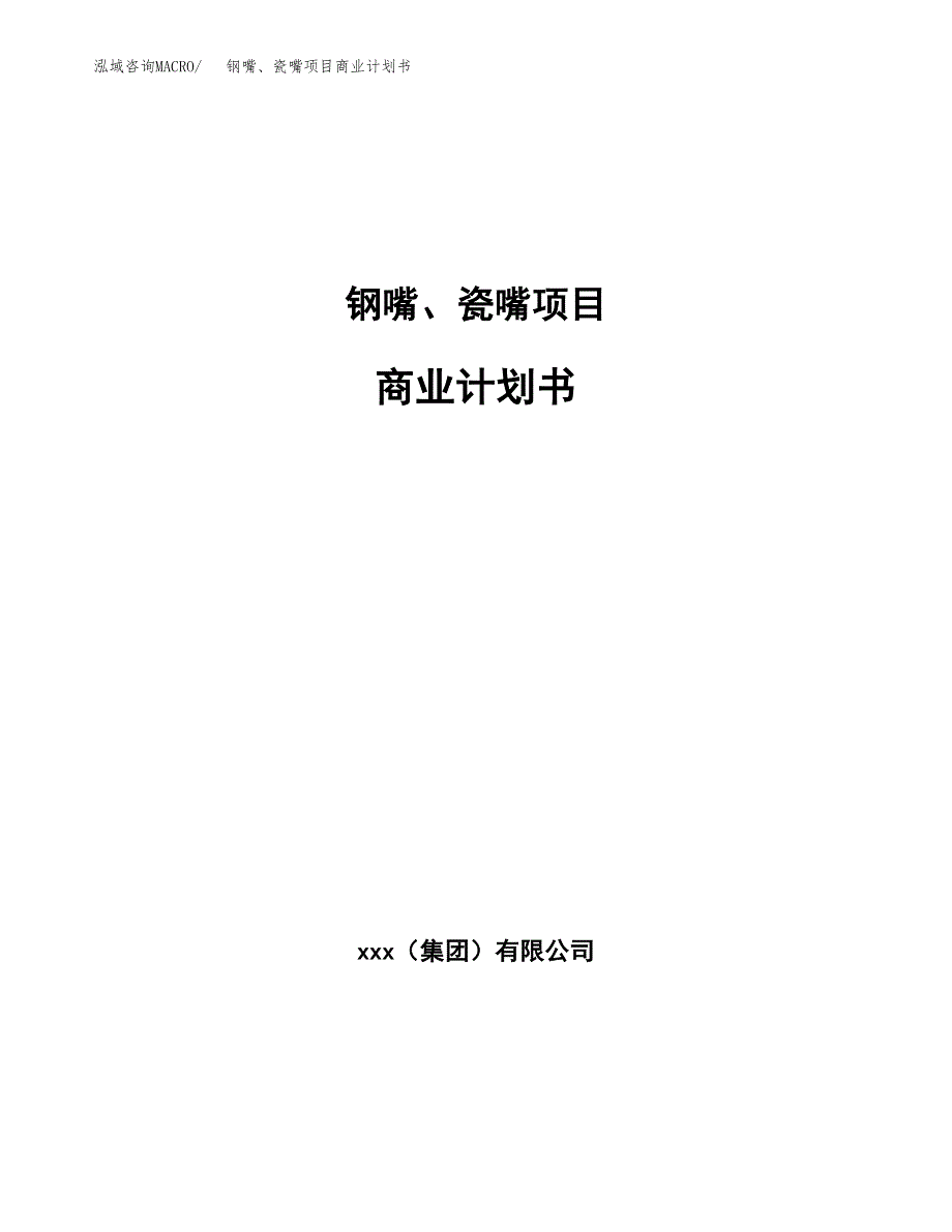 钢嘴、瓷嘴项目商业计划书参考模板.docx_第1页