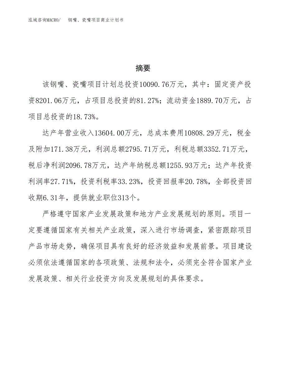 钢嘴、瓷嘴项目商业计划书参考模板.docx_第3页