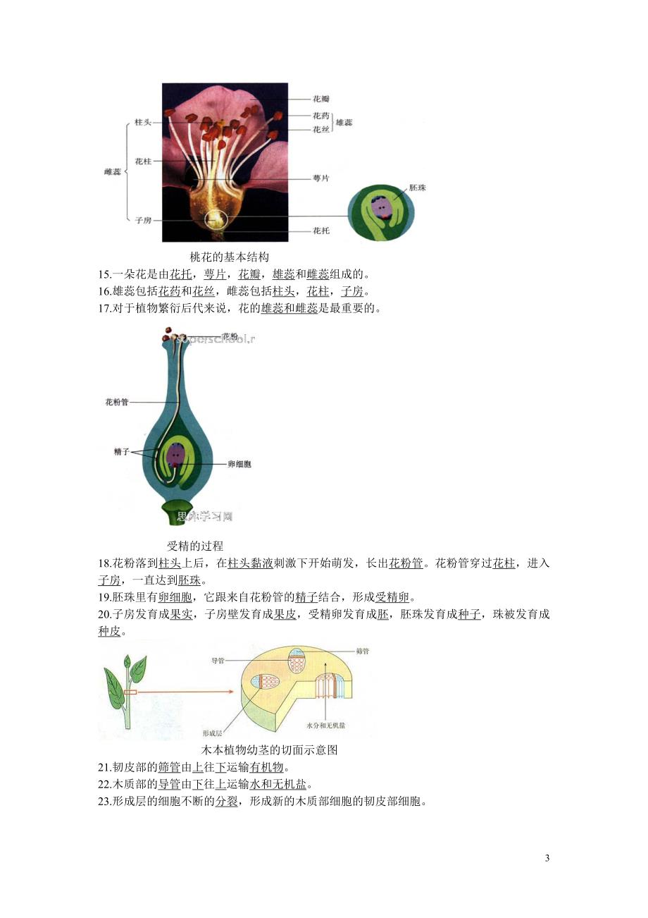 初中生物总复习重点图_第3页