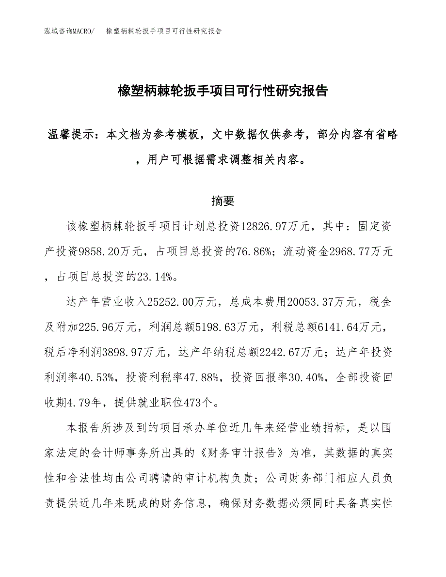 2019橡塑柄棘轮扳手项目可行性研究报告参考大纲.docx_第1页