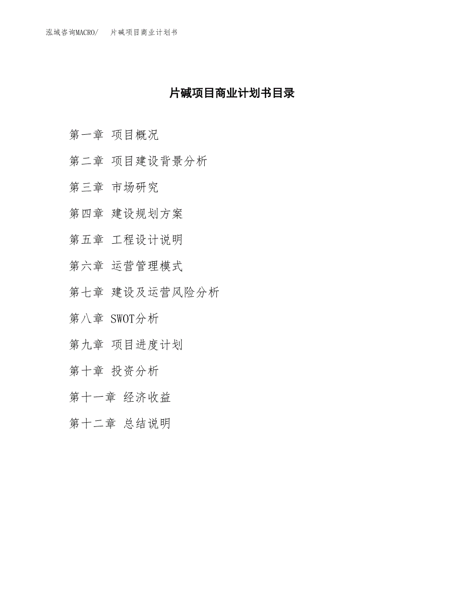 片碱项目商业计划书参考模板.docx_第2页