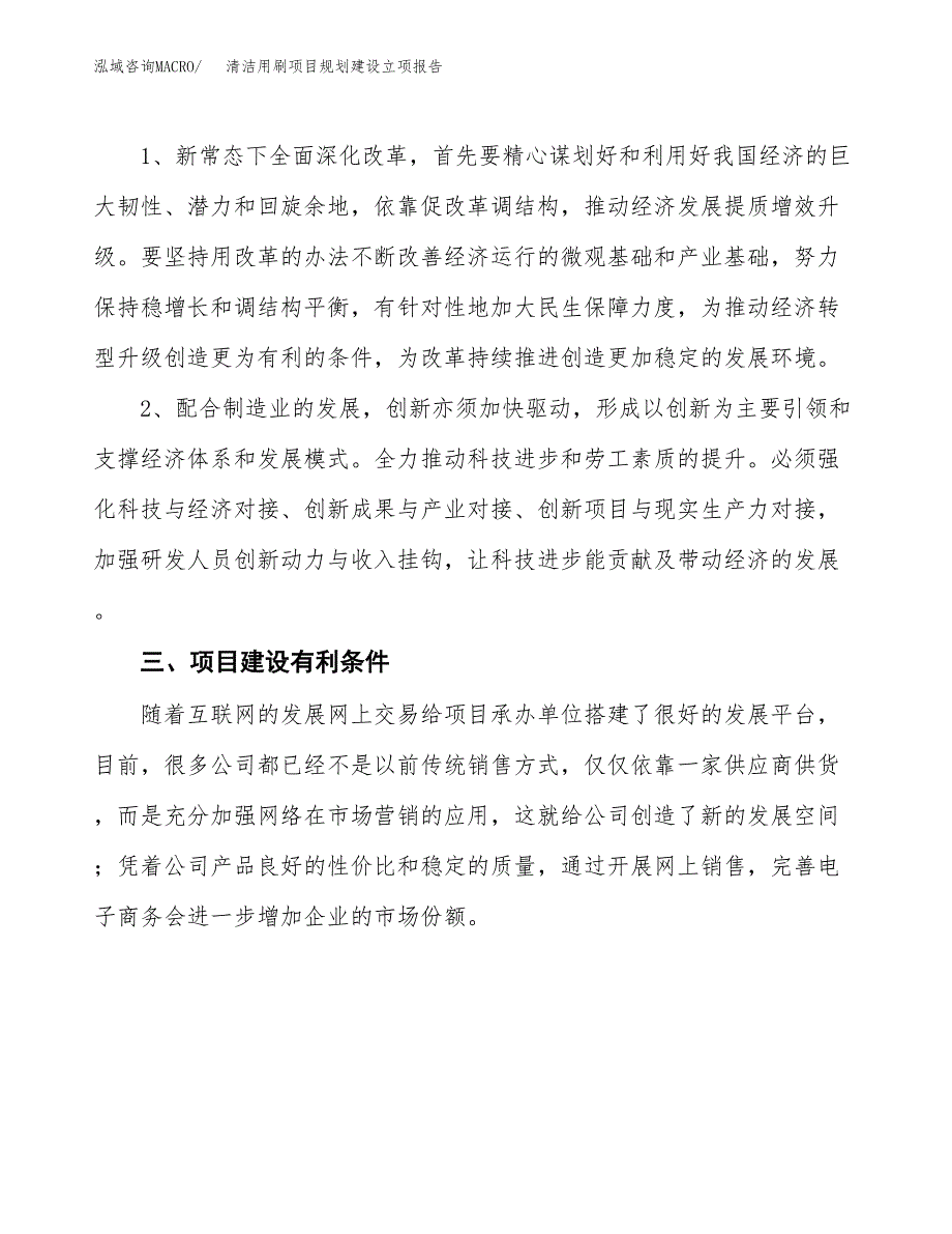 清洁用刷项目规划建设立项报告_第3页