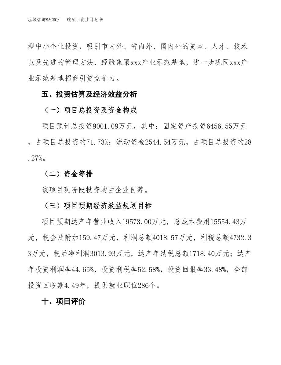 碗项目商业计划书参考模板.docx_第5页