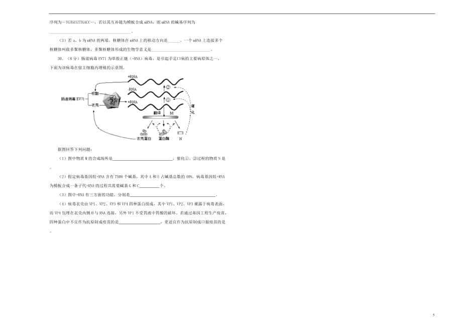 2019年高考生物一轮复习 第六单元 基因的本质和表达单元A卷_第5页