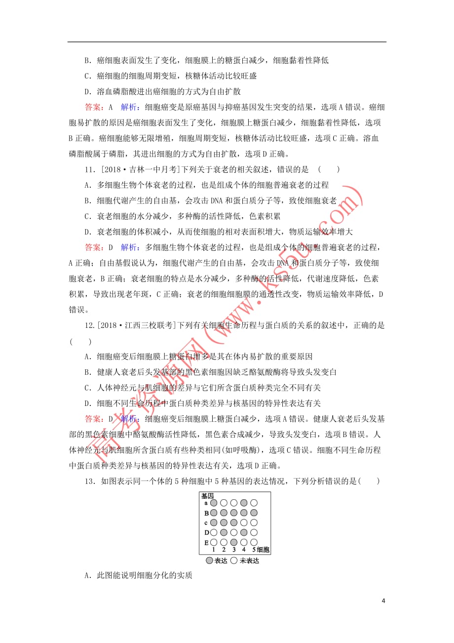 2019年高考生物一轮复习 课时作业14 细胞的分化、衰老、凋亡与癌变_第4页