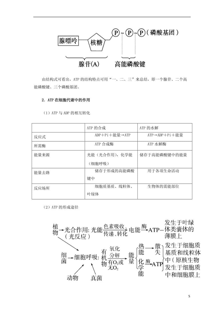 2019年高考生物一轮复习 专题09 降低化学反应活化能的酶、ATP（讲）_第5页