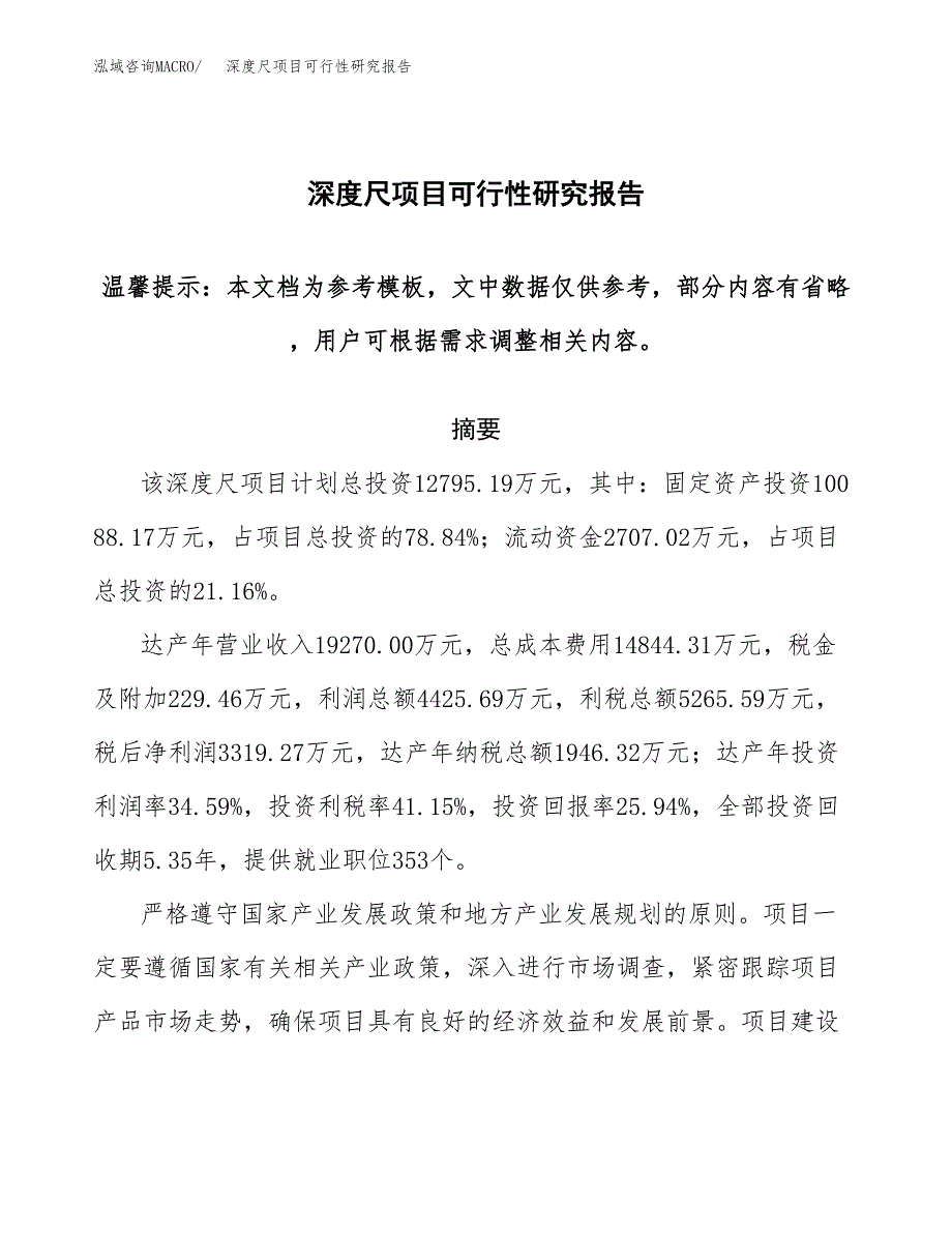 2019深度尺项目可行性研究报告参考大纲.docx_第1页