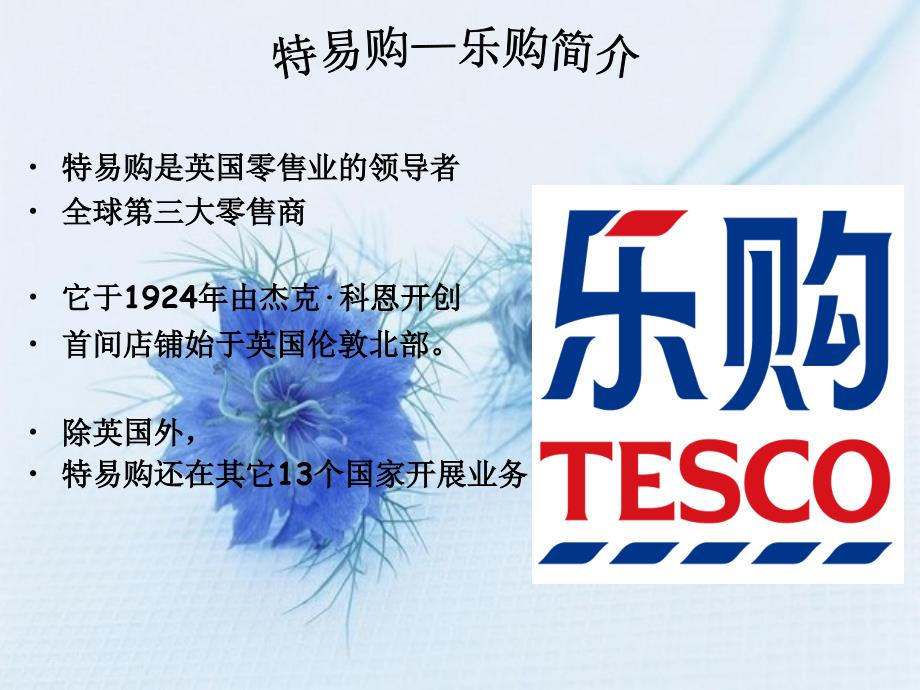 特易购（tesco）-乐购_第2页