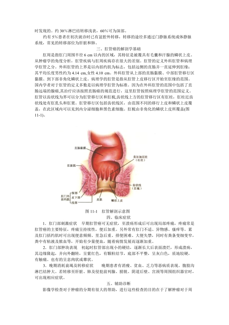 肛管癌_第2页