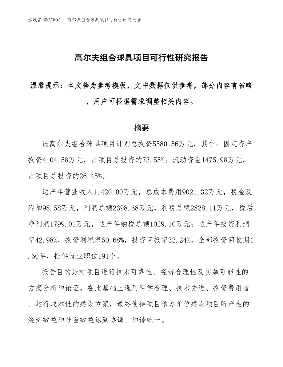 2019高尔夫组合球具项目可行性研究报告参考大纲.docx_第1页