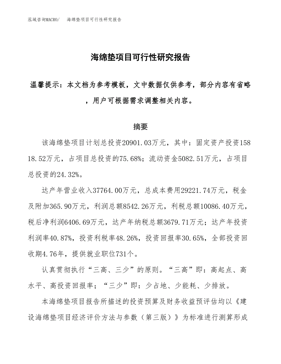 2019海绵垫项目可行性研究报告参考大纲.docx_第1页