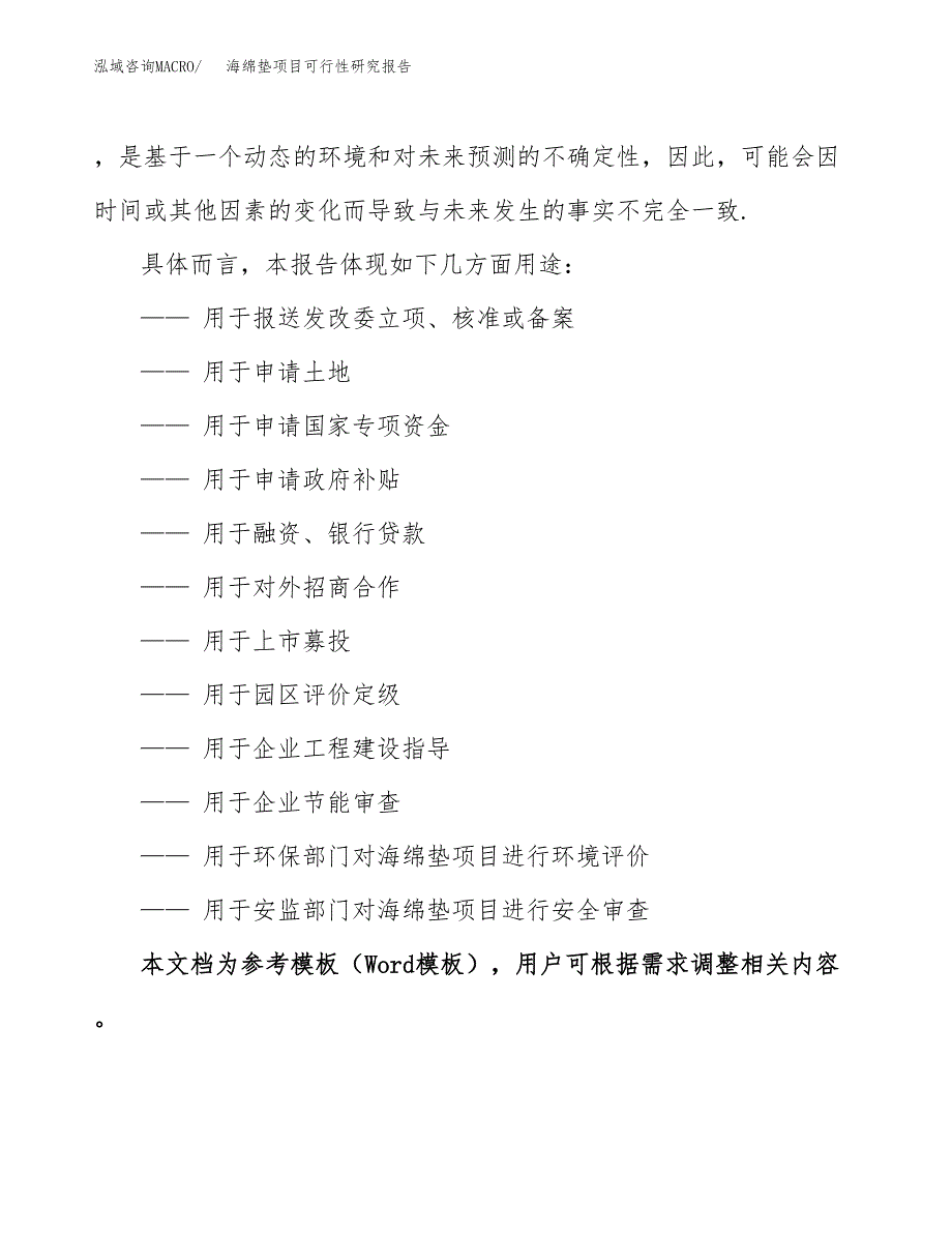 2019海绵垫项目可行性研究报告参考大纲.docx_第2页