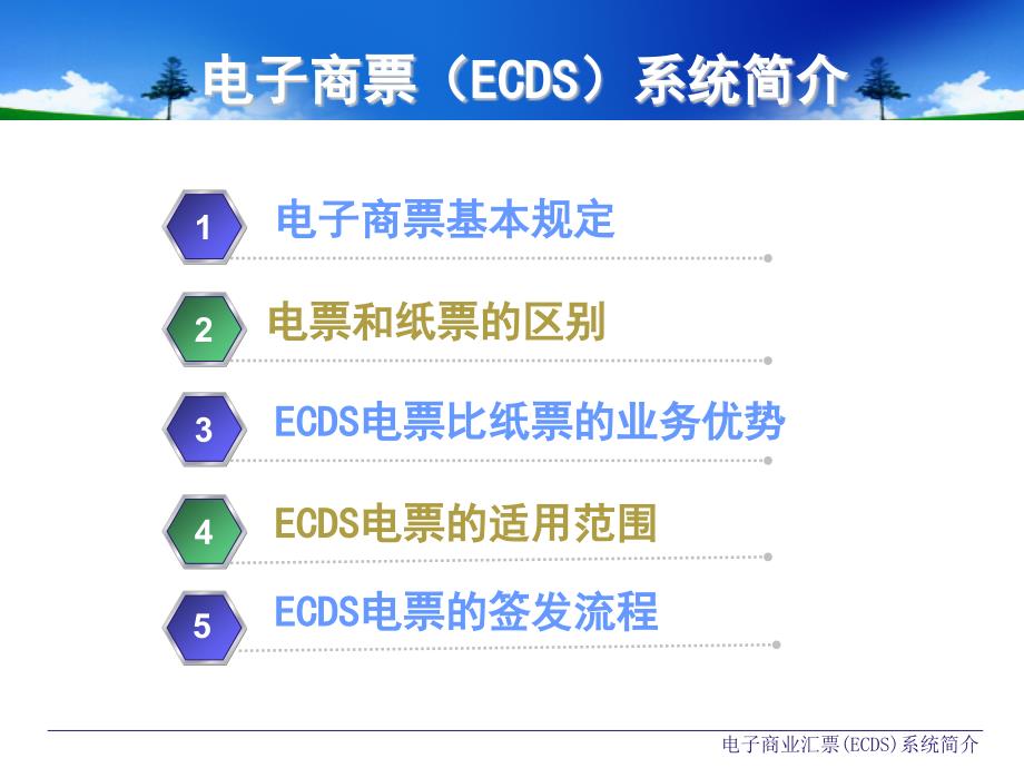 电子商票(ECDS)系统简介-2017829.ppt_第2页