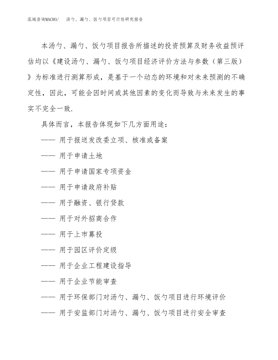 2019汤勺、漏勺、饭勺项目可行性研究报告参考大纲.docx_第2页