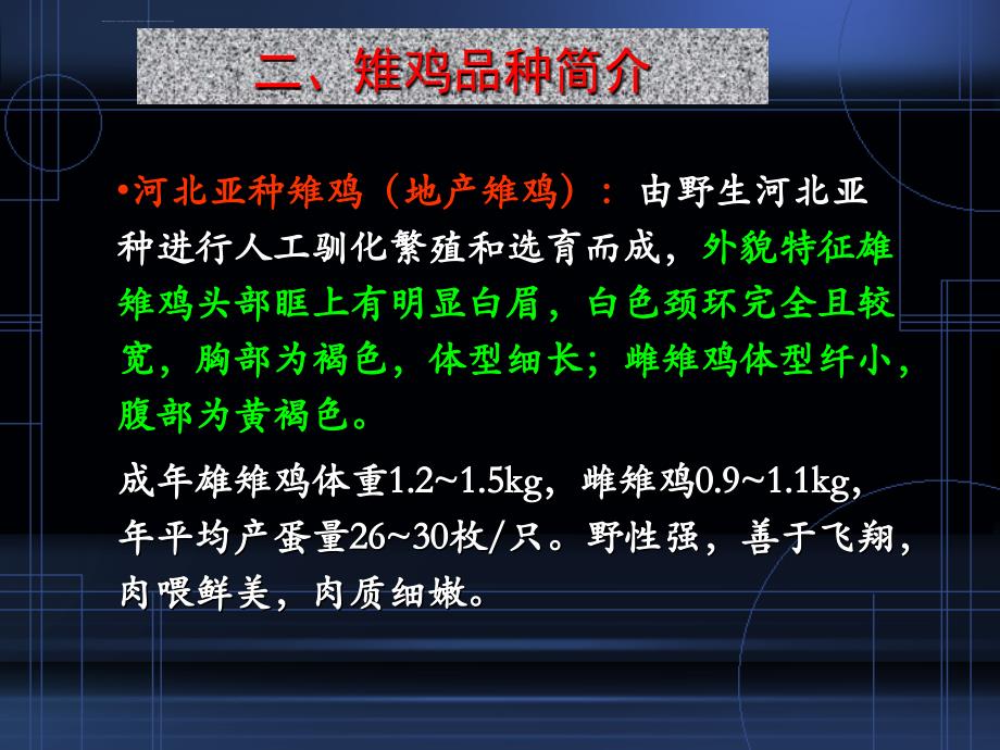 特种经济动物养殖——雉鸡养殖.ppt_第4页