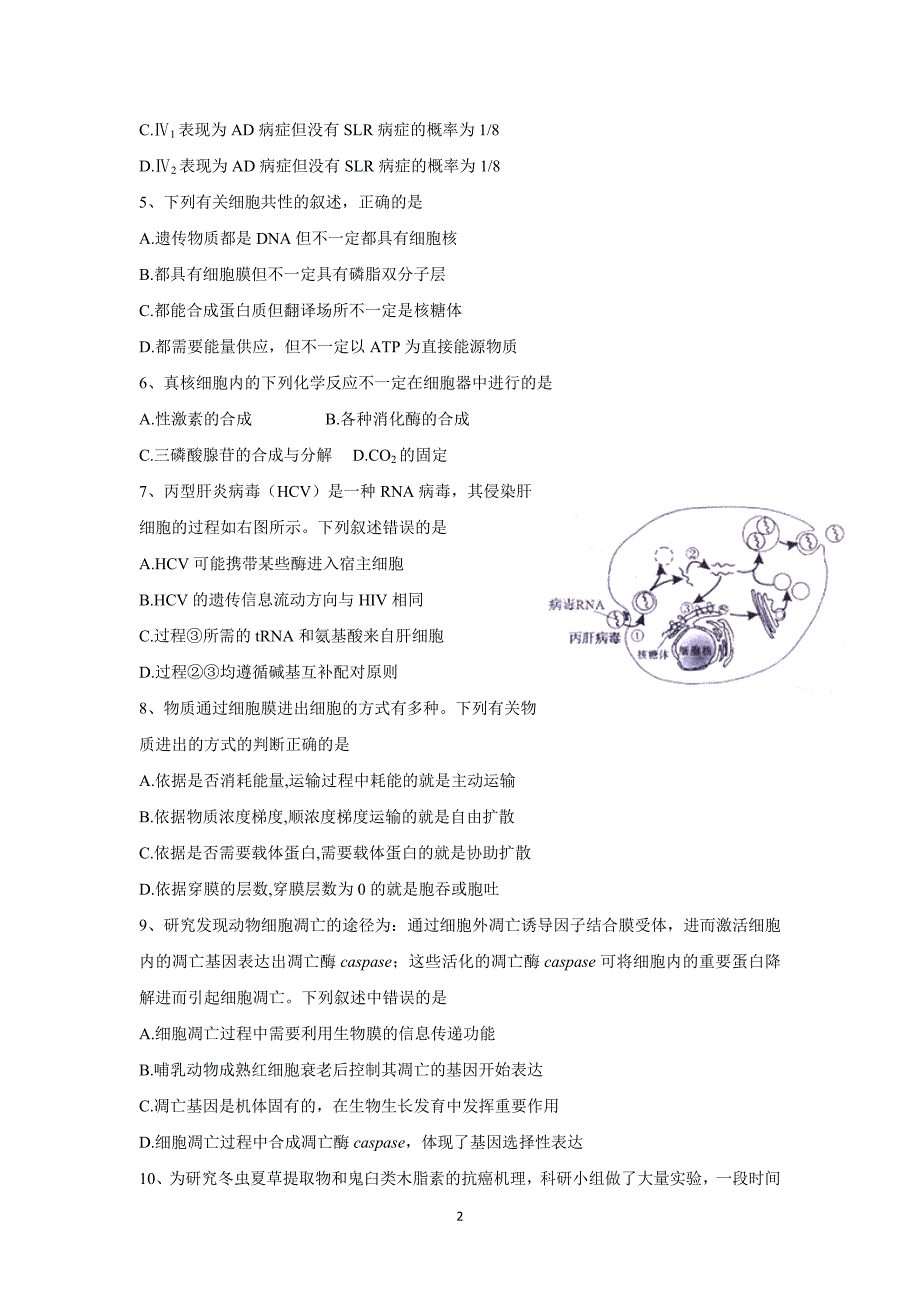 山西省“晋商四校”（榆次一中）2017届高三11月联考生物试题（附答案）$752920.doc_第2页