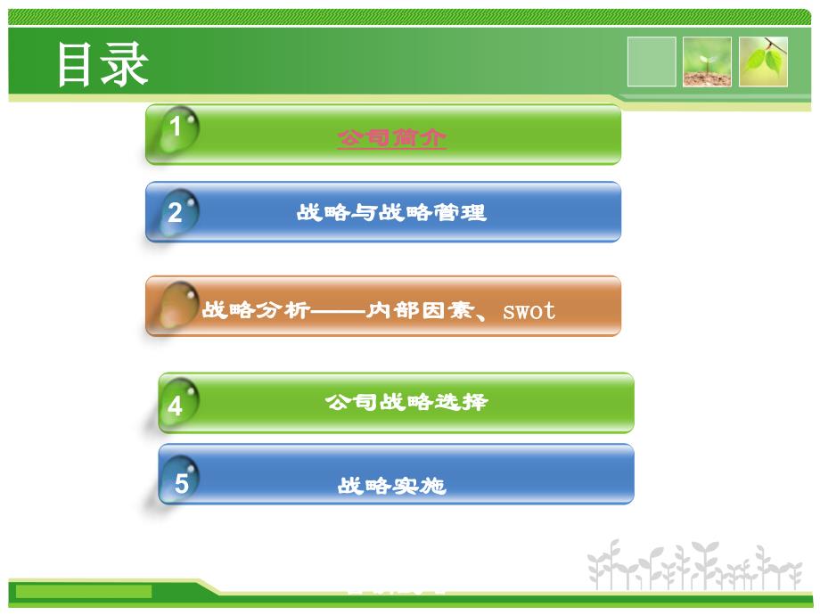 战略案例分析报告_第2页