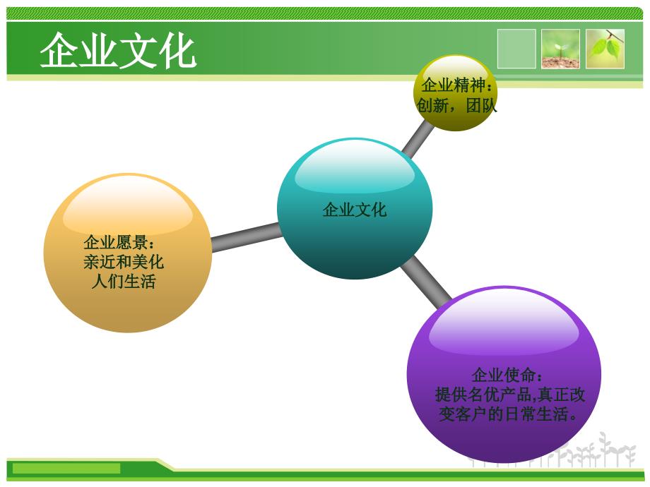 战略案例分析报告_第4页