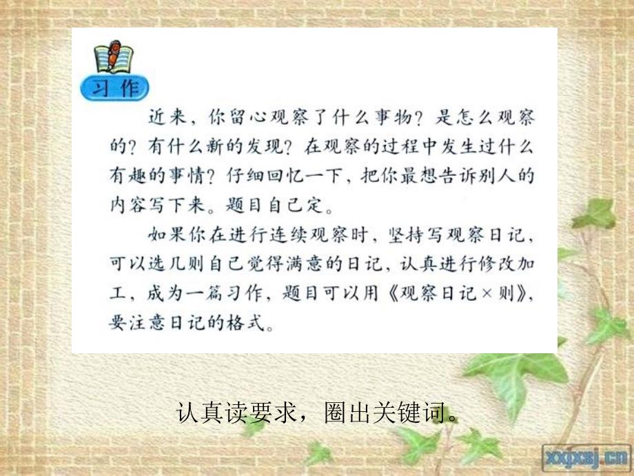 四年级（上册）第二单元作文《观察中的发现》_第1页