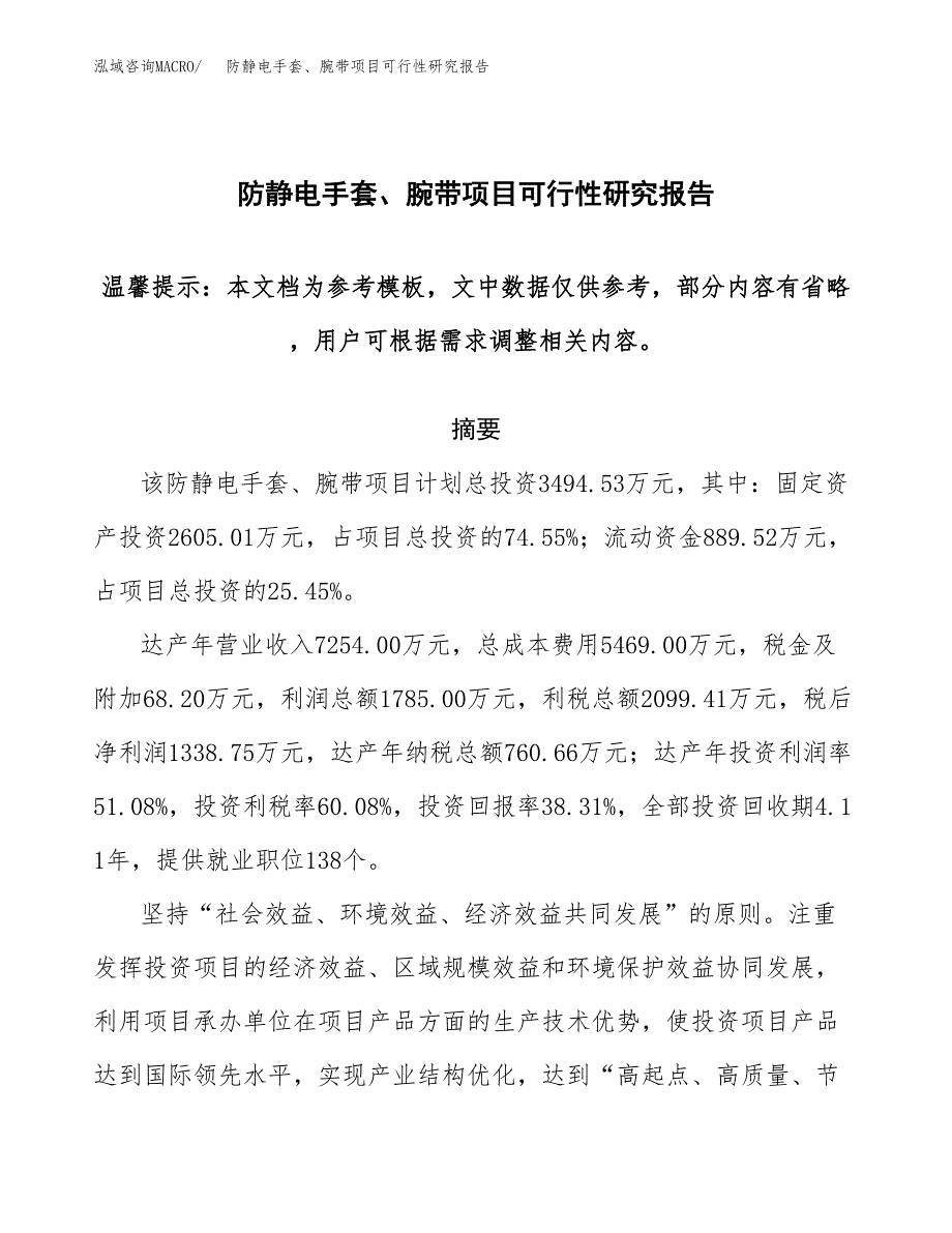 2019防静电手套、腕带项目可行性研究报告参考大纲.docx_第1页