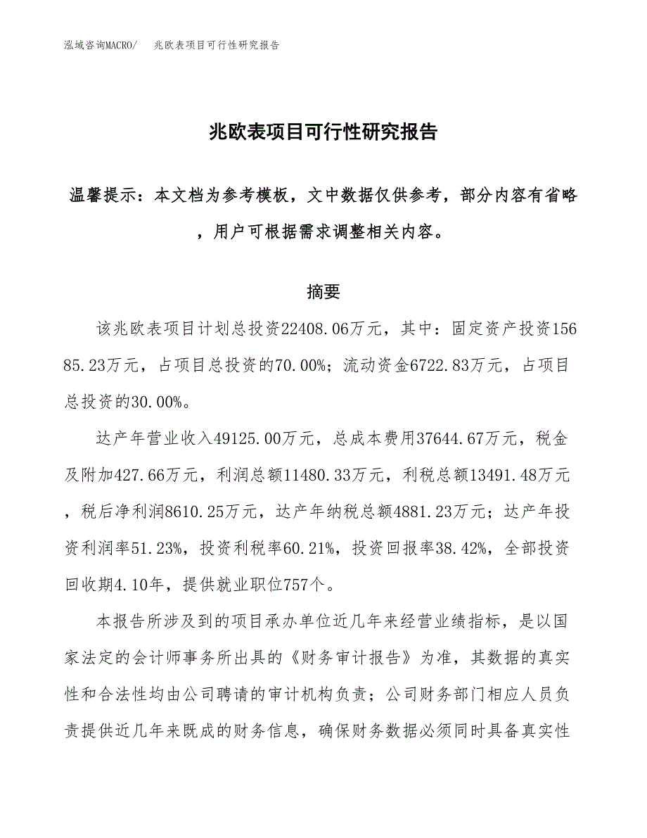 2019兆欧表项目可行性研究报告参考大纲.docx_第1页