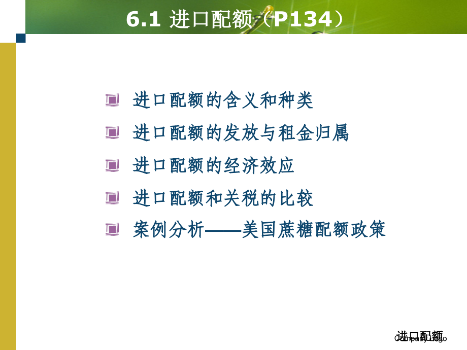 国际贸易政策-非关税壁垒_第4页