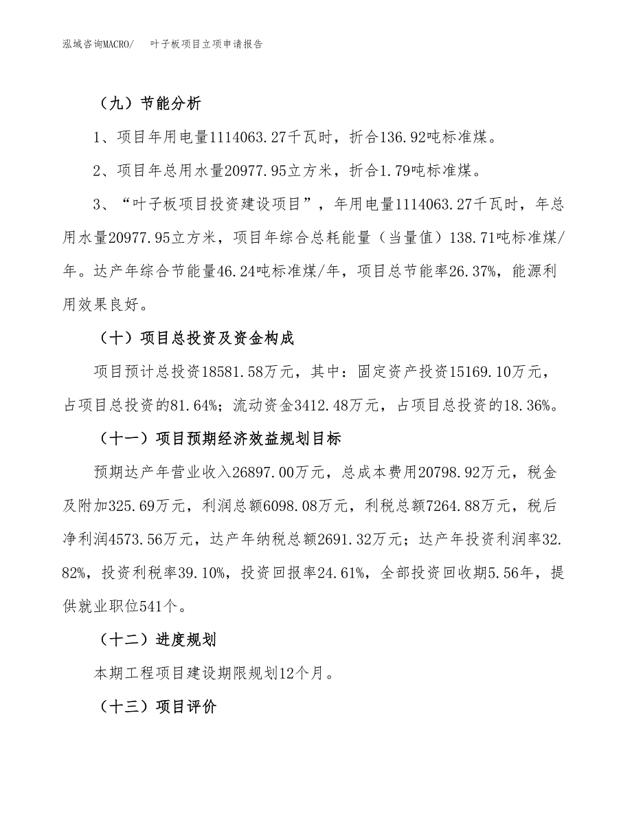 关于建设叶子板项目立项申请报告模板（总投资19000万元）_第3页