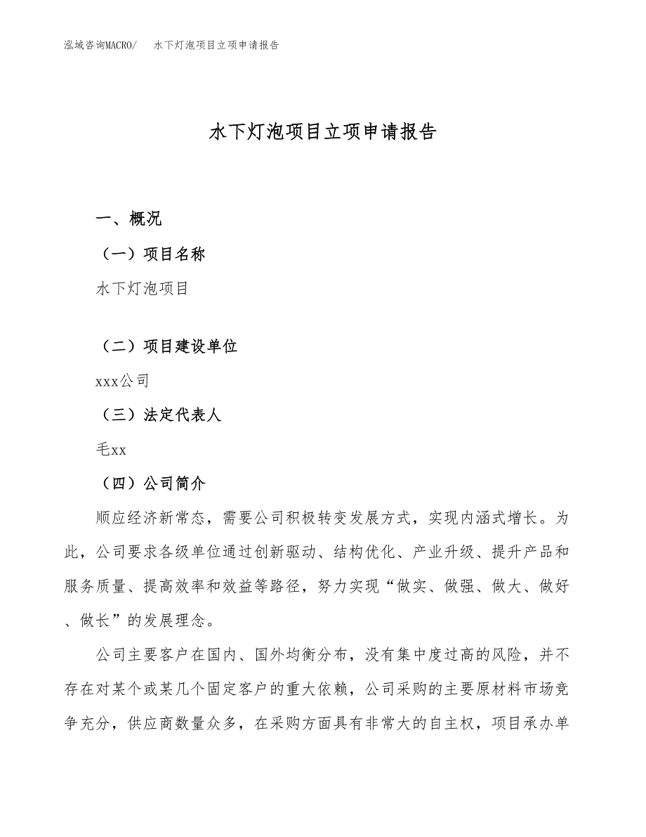 关于建设水下灯泡项目立项申请报告模板（总投资16000万元）_第1页