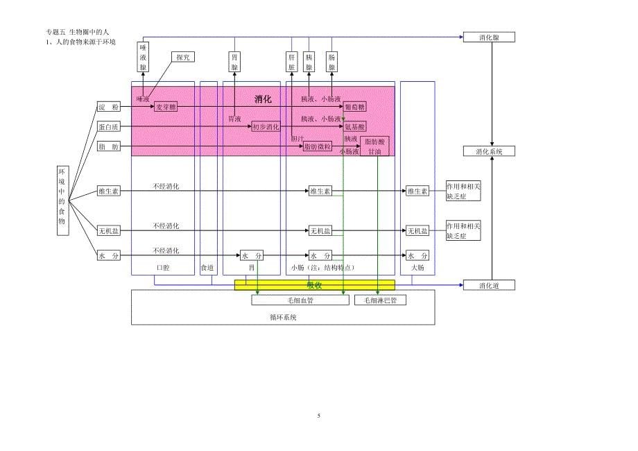 重点初中生物超全概念图_第5页