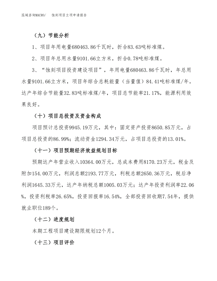 关于建设蚀刻项目立项申请报告模板（总投资10000万元）_第3页