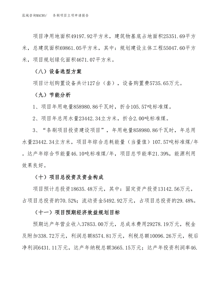 关于建设条刷项目立项申请报告模板（总投资19000万元）_第3页