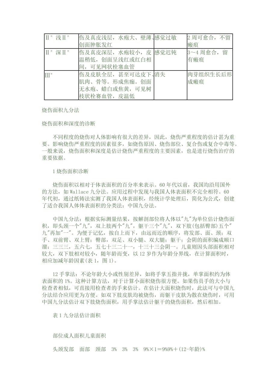 烧伤等级分法_第2页