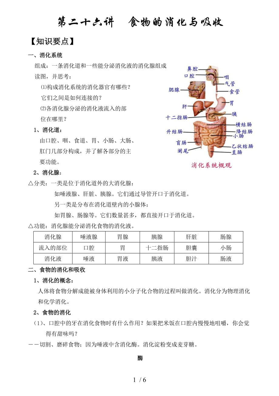 中考科学食物的消化与吸收_第1页