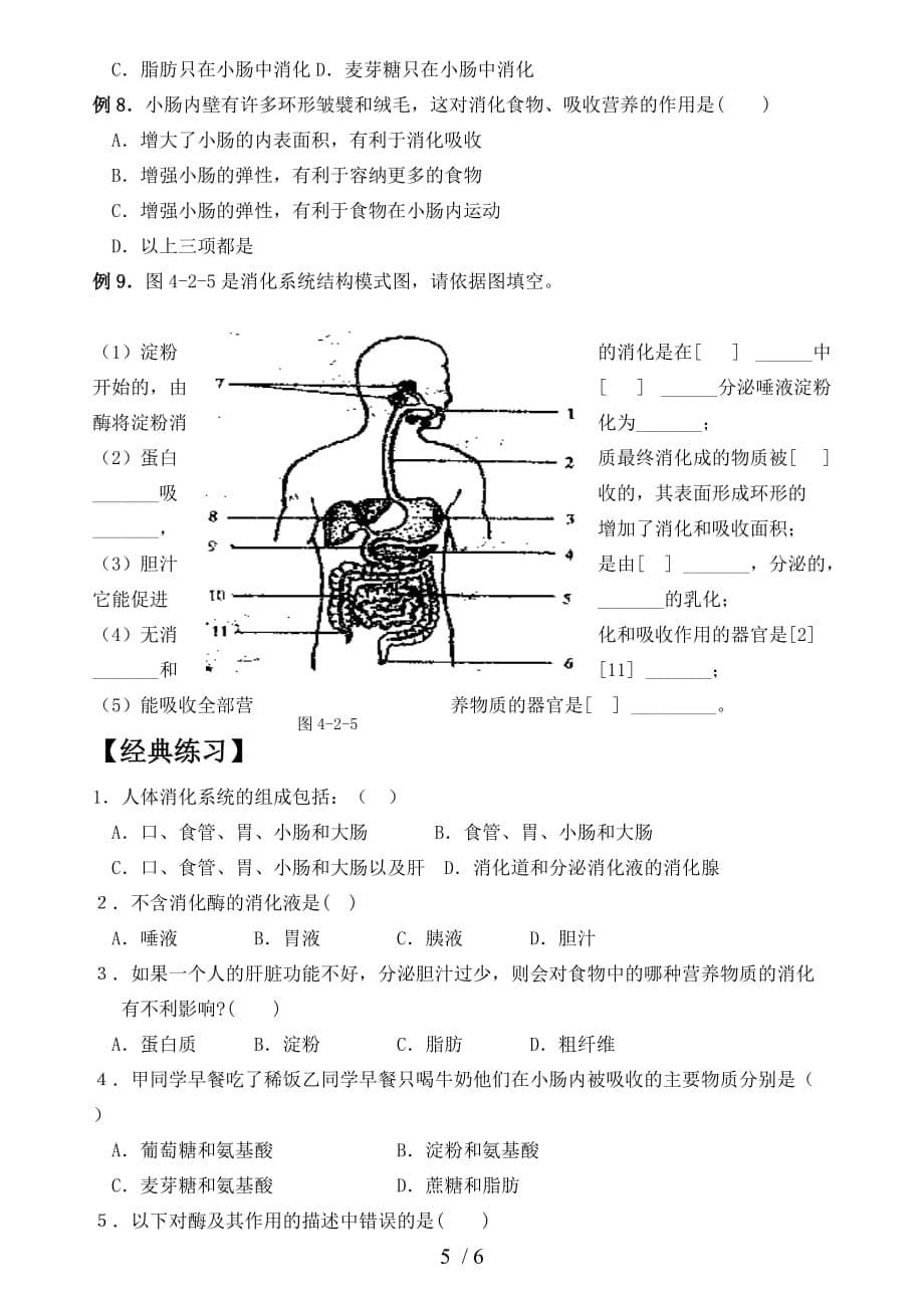 中考科学食物的消化与吸收_第5页