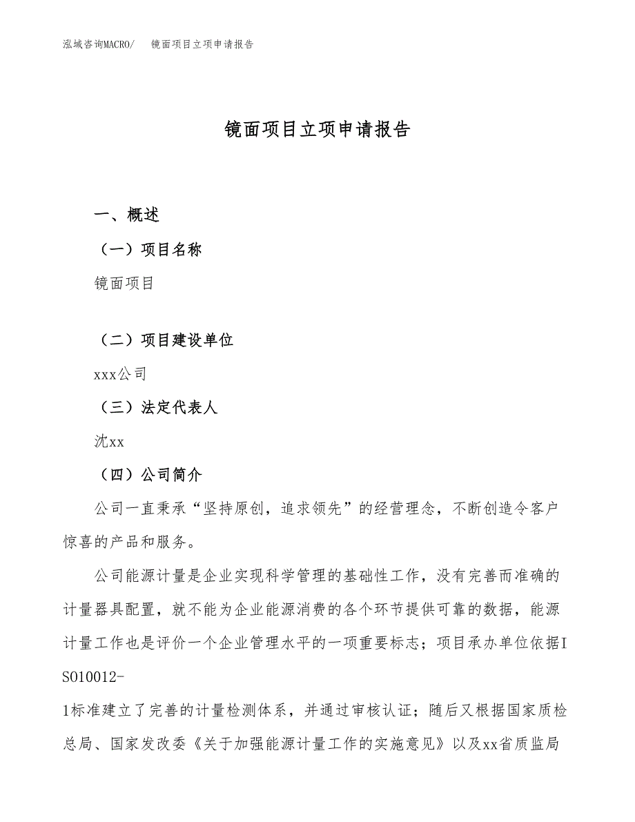 关于建设镜面项目立项申请报告模板（总投资7000万元）_第1页