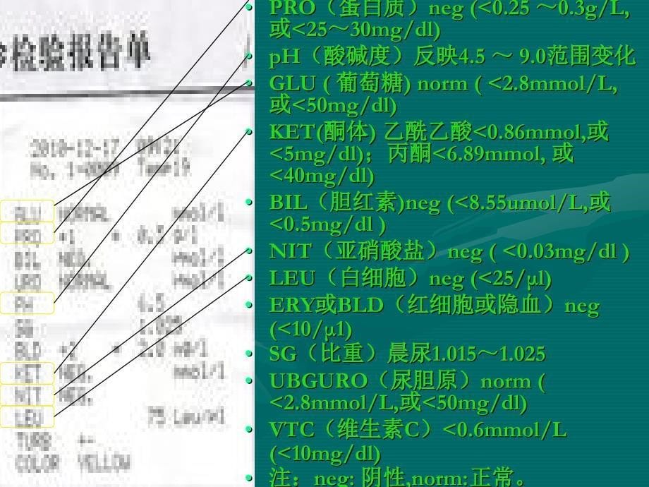 生物演讲--安晨阳60912_第5页