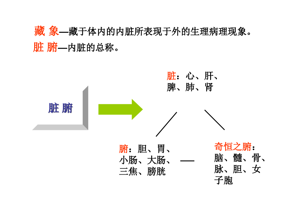 了解你的五脏12_第2页