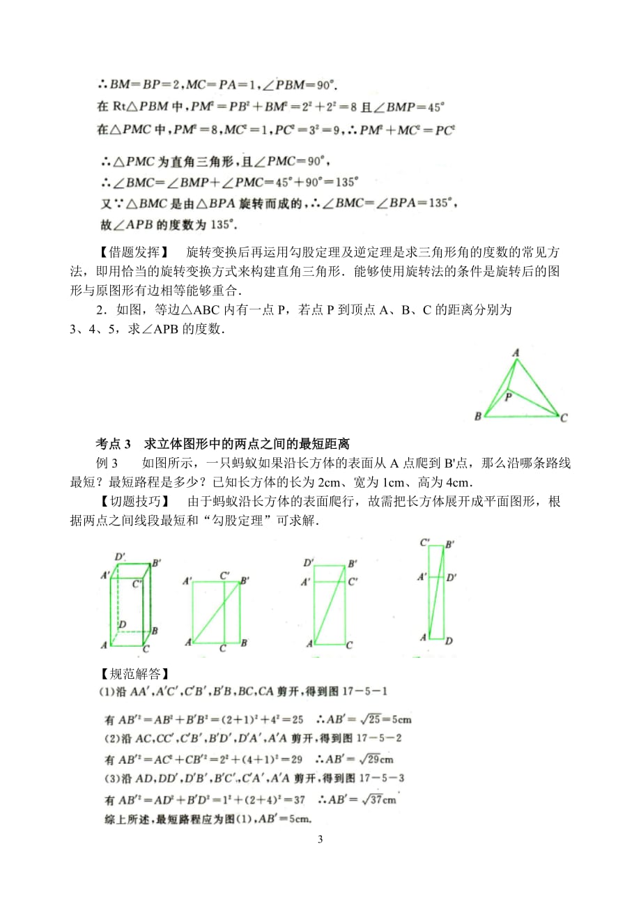 八年级数学培优专题讲解勾股定理资料_第3页