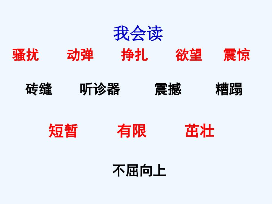 语文人教版四年级下册《生命、生命》第二课时_第3页